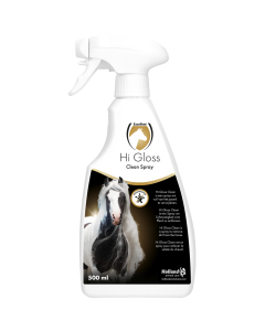 Hi Gloss Clean Spray